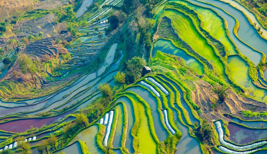 宝妈必备神器：富顺县产品视频拍摄轻松育儿好帮手