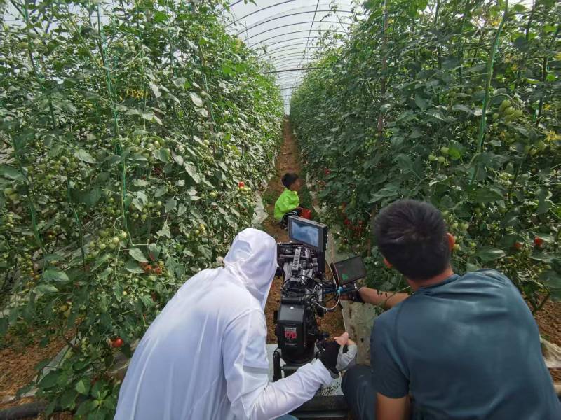 富顺县产品宣传视频拍摄公司进阶指南，助力品牌抢占传播高地